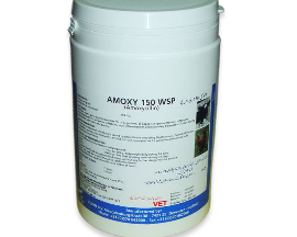 AMOXY 150 WSP